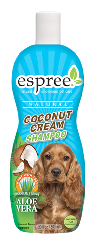 coconut-cream-current-site